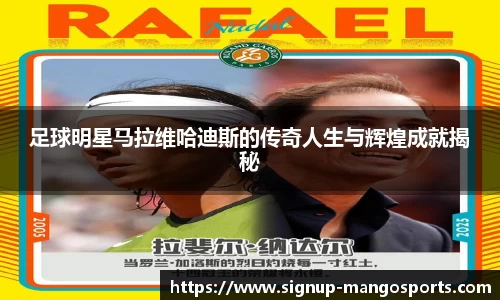 芒果体育